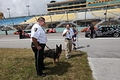 09mia_MG_6329_web.JPG
