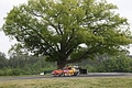_MG_5011_resize.JPG