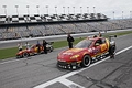 _MG_9842_resize.JPG