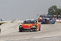 _MG_0406_resize_resize.JPG