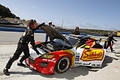_MG_3725_resize.JPG