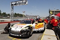 _MG_8347_resize.JPG
